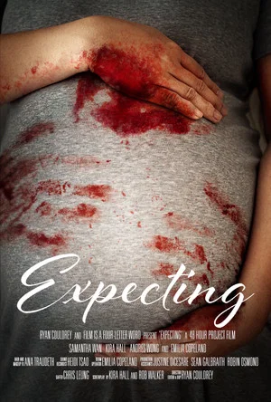 Постер: Expecting