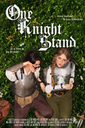 Постер: One Knight Stand