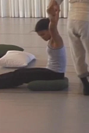 Постер: After Many a Summer Dies the Swan: Hybrid