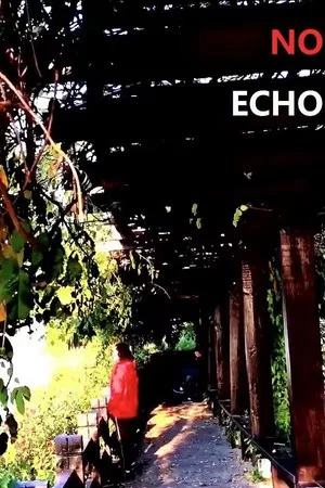 Постер: No Echo