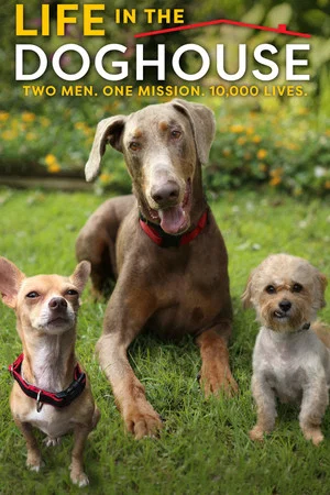 Постер: Life in the Doghouse