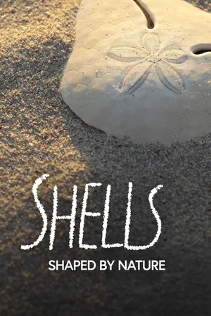 Постер: Shells: Shaped by Nature