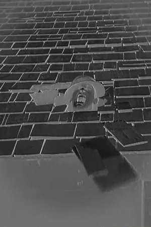 Постер: Buster Keaton Embossed