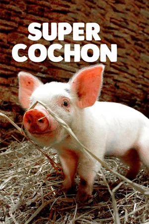 Постер: Super cochon