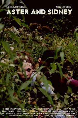 Постер: Aster and Sidney