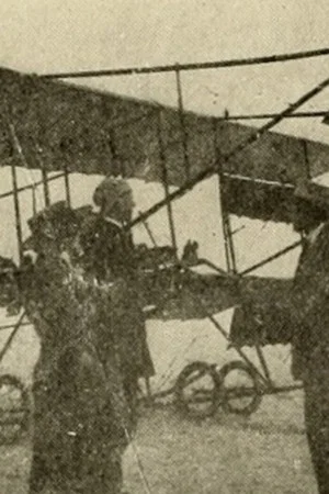 Постер: Flying to Fortune