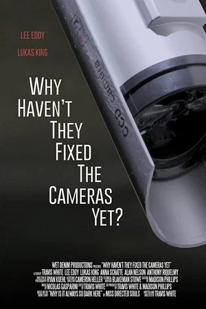Постер: Why Haven't They Fixed the Cameras Yet?