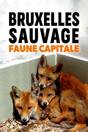 Постер: Brussels, the Wild Side
