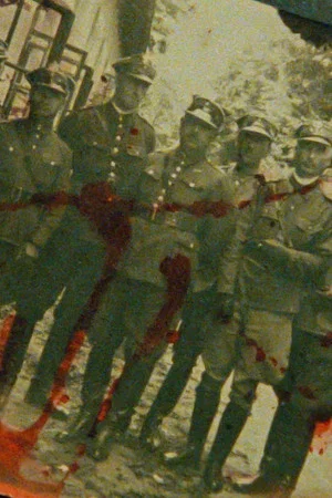 Постер: The Katyn Forest
