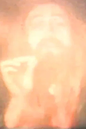 Постер: Burn Karma Burn