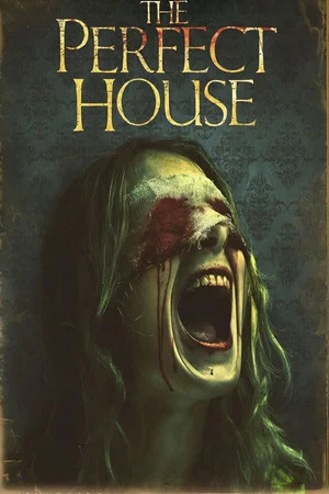 Постер: The Perfect House