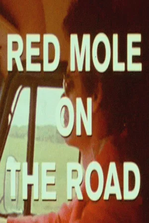 Постер: On the Road with Red Mole