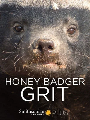 Постер: Honey Badger: Grit
