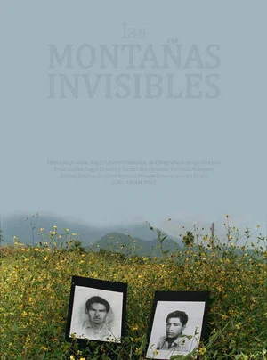 Постер: The Invisible Mountains
