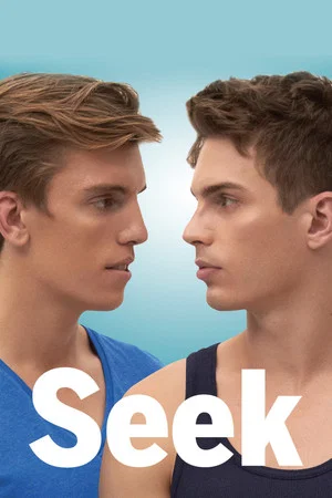 Постер: Seek