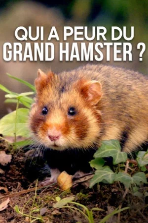 Постер: Qui a peur du grand hamster ?