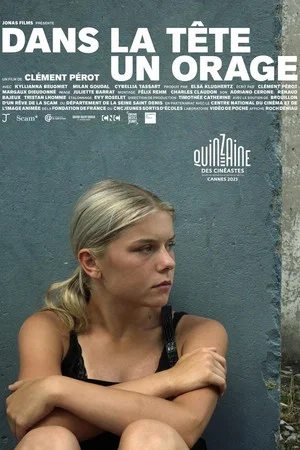 Постер: Dans la tête un orage