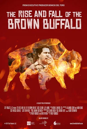 Постер: The Rise and Fall of the Brown Buffalo