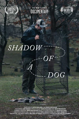 Постер: Shadow of a Dog