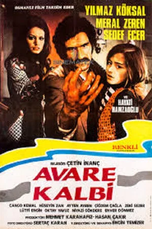 Постер: Avare Kalbi