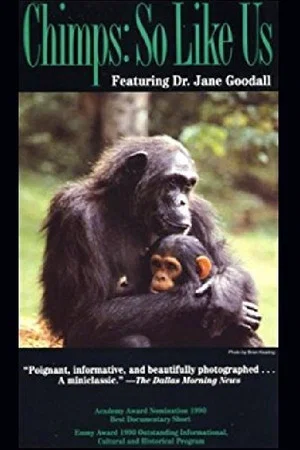 Постер: Chimps: So Like Us