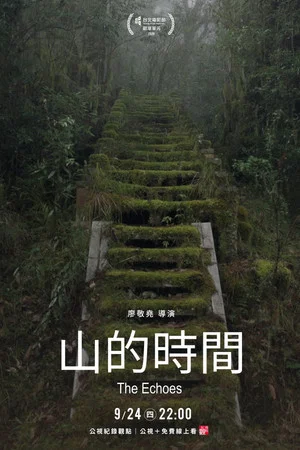 Постер: The Echoes