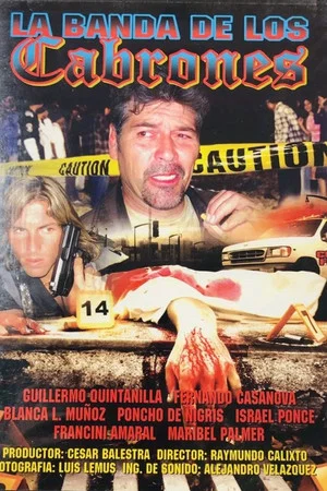 Постер: Violencia en las calles