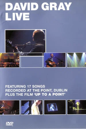 Постер: David Gray: Live at the Point