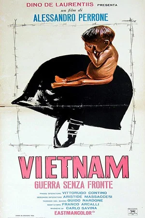 Постер: Vietnam guerra senza fronte