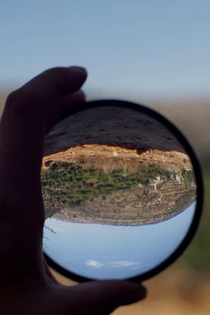 Постер: The Sun and the Looking Glass – for one easily forgets but the tree remembers