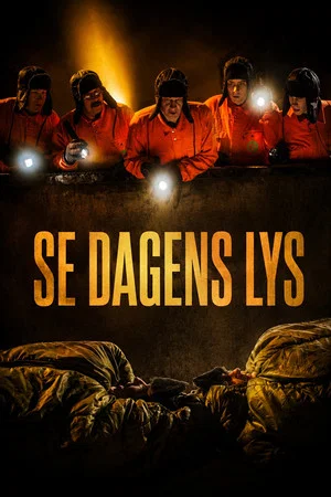 Постер: Se dagens lys