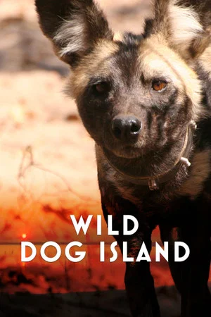 Постер: Wild Dog Island