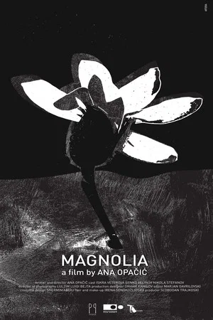 Постер: Magnolia