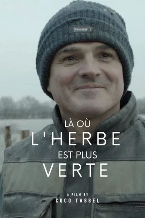 Постер: Là où l'herbe est plus verte