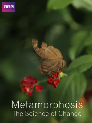 Постер: Metamorphosis: The Science of Change