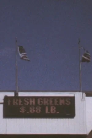 Постер: 3 Flags