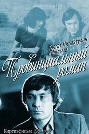 Постер: Провинциальный роман