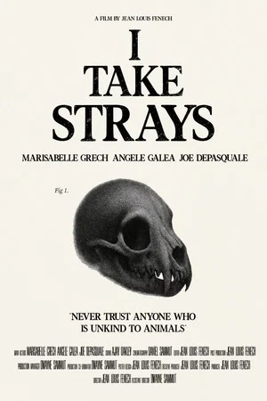 Постер: I TAKE STRAYS
