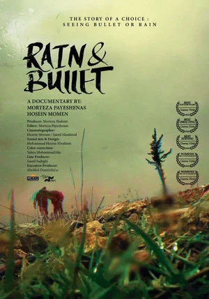 Постер: Rain and Bullets
