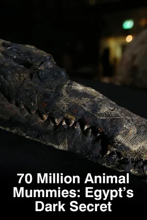 Постер: 70 Million Animal Mummies: Egypt's Dark Secret