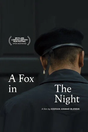 Постер: A Fox in the Night
