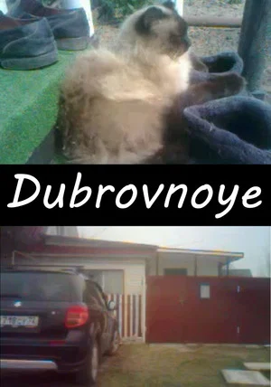 Постер: Дубровное