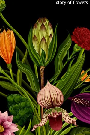Постер: Story of flowers