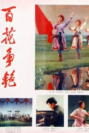 Постер: Bai hua zheng yan