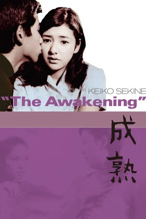 Постер: The Awakening