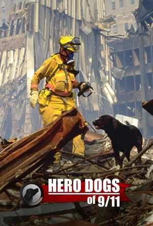 Постер: Hero Dogs Of 9/11