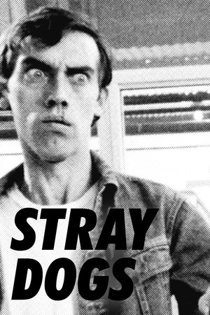 Постер: Stray Dogs