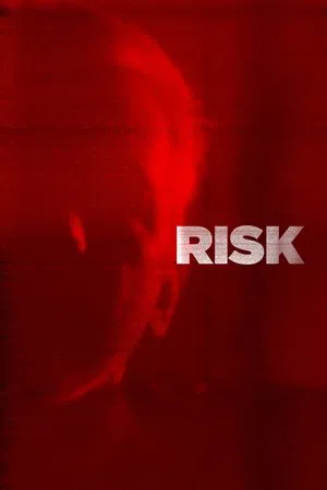 Постер: Risk