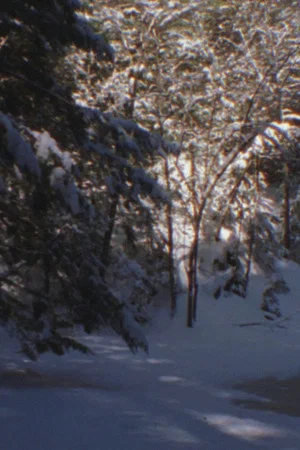 Постер: Winter Beyond Winter