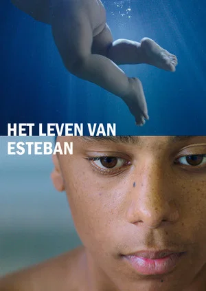 Постер: The Life of Esteban